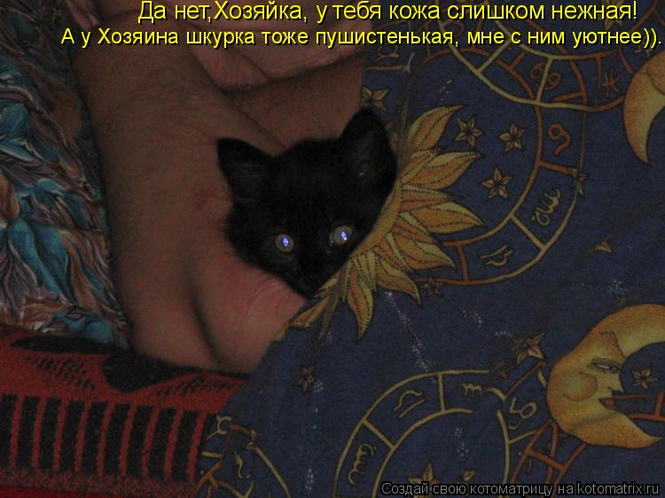 Да нет,Хозяйка, у тебя кожа слишком нежная! А у Хозяина шкурка тоже пушистенькая, мне с ним уютнее)).... Котоматрица: Да нет,Хозяйка, у тебя кожа слишком нежная! А у Хозяина шкурка тоже пушистенькая, мне с ним уютнее)).