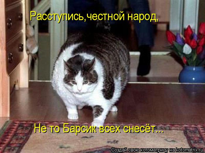 Расступись,честной народ, Не то Барсик всех снесёт...... Котоматрица: Расступись,честной народ, Не то Барсик всех снесёт...