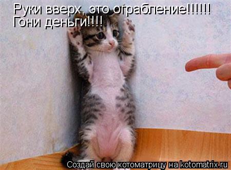 Руки вверх, это ограбление!!!!!! Гони деньги!!!!... Котоматрица: Руки вверх, это ограбление!!!!!! Гони деньги!!!!