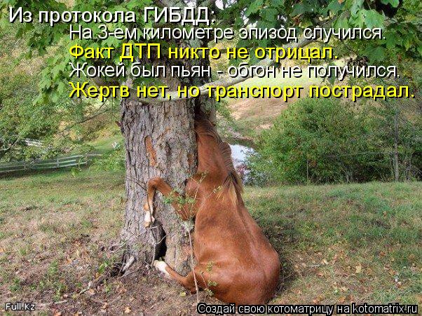 Из протокола ГИБДД: Факт ДТП никто не отрицал. Жертв нет, но транспорт пострадал. Жокей был пьян - об... Котоматрица: Из протокола ГИБДД: Факт ДТП никто не отрицал. Жертв нет, но транспорт пострадал. Жокей был пьян - обгон не получился. На 3-ем километре эпизод