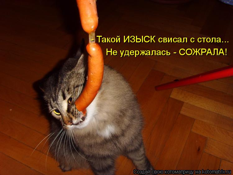 - Такой ИЗЫСК свисал с стола... Не удержалась - СОЖРАЛА!... Котоматрица: - Такой ИЗЫСК свисал с стола... Не удержалась - СОЖРАЛА!