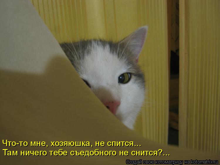 Котоматрица: Там ничего тебе съедобного не снится?... Что-то мне, хозяюшка, не спится...