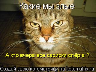 Какие мы злые А кто вчера все сасиски спёр а ?... Котоматрица: Какие мы злые А кто вчера все сасиски спёр а ?