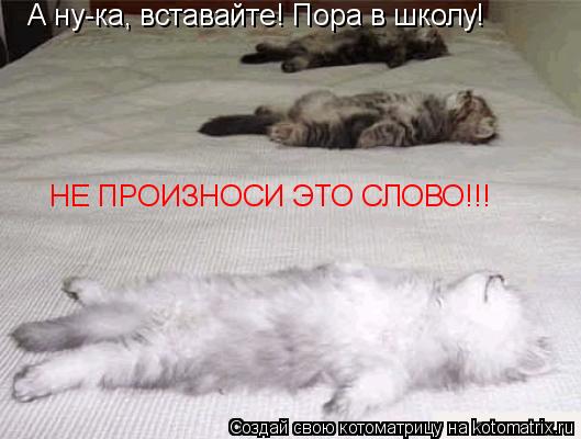 Котоматрица: А ну-ка, вставайте! Пора в школу! НЕ ПРОИЗНОСИ ЭТО СЛОВО!!!