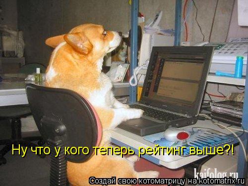 Ну что у кого теперь рейтинг выше?!... Котоматрица: Ну что у кого теперь рейтинг выше?!