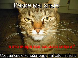 Какие мы злые а кто вчера все сасиски спёр а?... Котоматрица: Какие мы злые а кто вчера все сасиски спёр а?