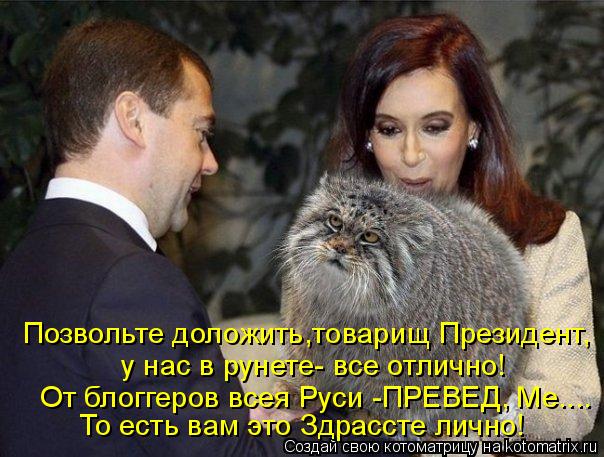 Позвольте доложить,товарищ Президент, у нас в рунете- все отлично! От блоггеров всея Руси -ПРЕВЕД, ... Котоматрица: Позвольте доложить,товарищ Президент, у нас в рунете- все отлично! От блоггеров всея Руси -ПРЕВЕД, Ме.... То есть вам это Здрассте лично!