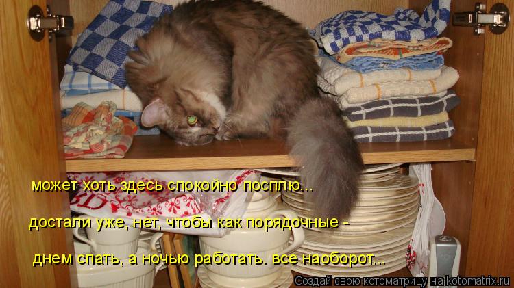 Не спать ночью а днем спать Не спать ночью а днем спать