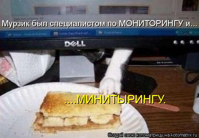 Мурзик был специалистом по МОНИТОРИНГУ и... ....МИНИТЫРИНГУ.... Котоматрица: Мурзик был специалистом по МОНИТОРИНГУ и... ....МИНИТЫРИНГУ.