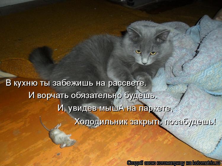 В кухню ты забежишь на рассвете. И ворчать обязательно будешь. И, увидев мышА на паркете, Холодильник... Котоматрица: В кухню ты забежишь на рассвете. И ворчать обязательно будешь. И, увидев мышА на паркете, Холодильник закрыть позабудешь!