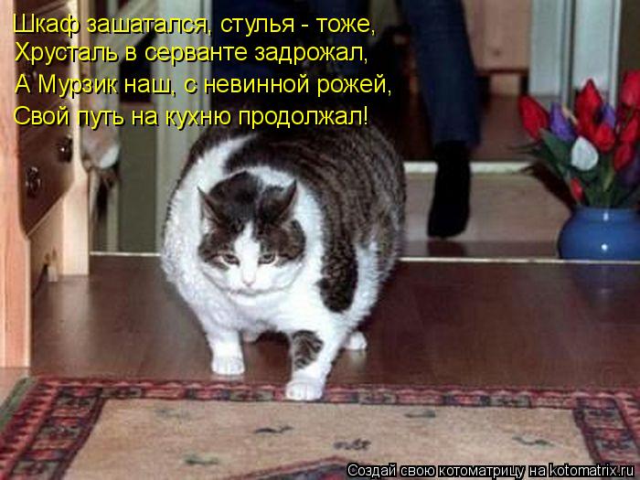 Шкаф зашатался, стулья - тоже, Хрусталь в серванте задрожал, А Мурзик наш, с невинной рожей, Свой ... Котоматрица: Шкаф зашатался, стулья - тоже, Хрусталь в серванте задрожал, А Мурзик наш, с невинной рожей, Свой путь на кухню продолжал!