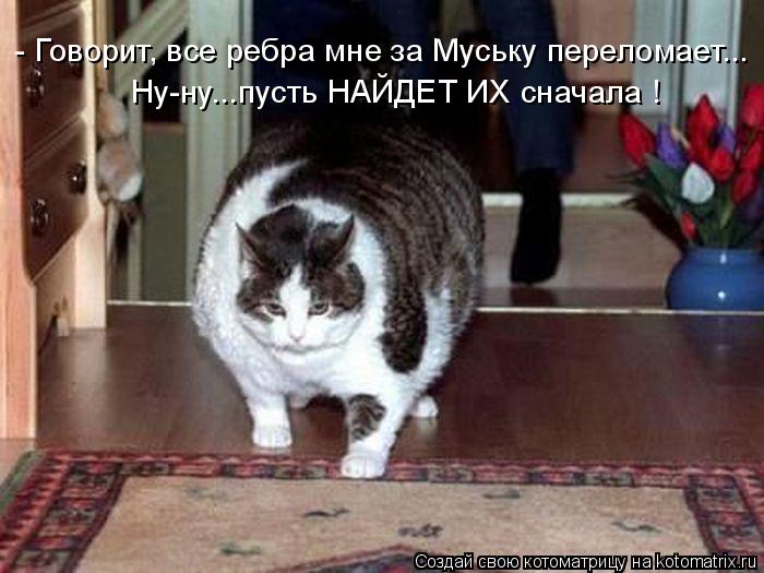 - Говорит, все ребра мне за Муську переломает... Ну-ну...пусть НАЙДЕТ ИХ сначала !... Котоматрица: - Говорит, все ребра мне за Муську переломает... Ну-ну...пусть НАЙДЕТ ИХ сначала !