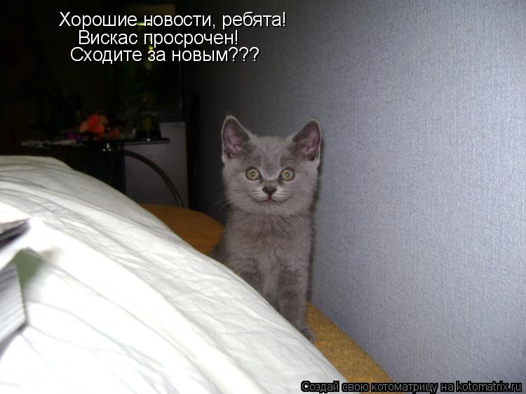 Хорошие новости, ребята! Вискас просрочен! Сходите за новым???... Котоматрица: Хорошие новости, ребята! Вискас просрочен! Сходите за новым???