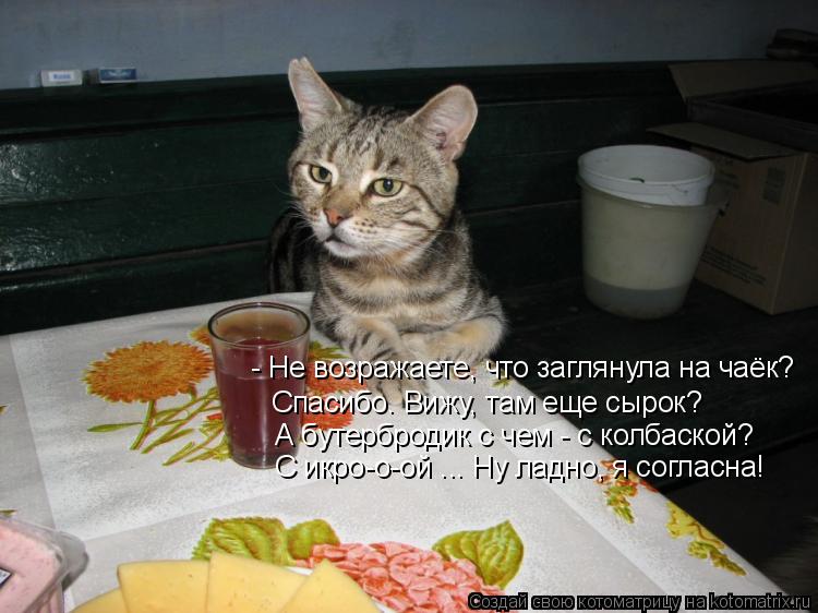 - Не возражаете, что заглянула на чаёк? Спасибо. Вижу, там еще сырок? А бутербродик с чем - с колбаск... Котоматрица: - Не возражаете, что заглянула на чаёк? Спасибо. Вижу, там еще сырок? А бутербродик с чем - с колбаской? С икро-о-ой ... Ну ладно, я согласна!