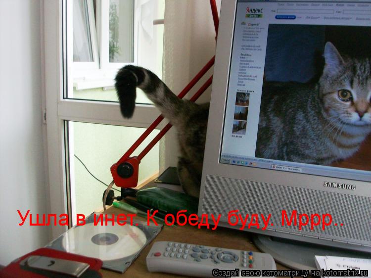 Ушла в инет. К обеду буду. Мррр..... Котоматрица: Ушла в инет. К обеду буду. Мррр..