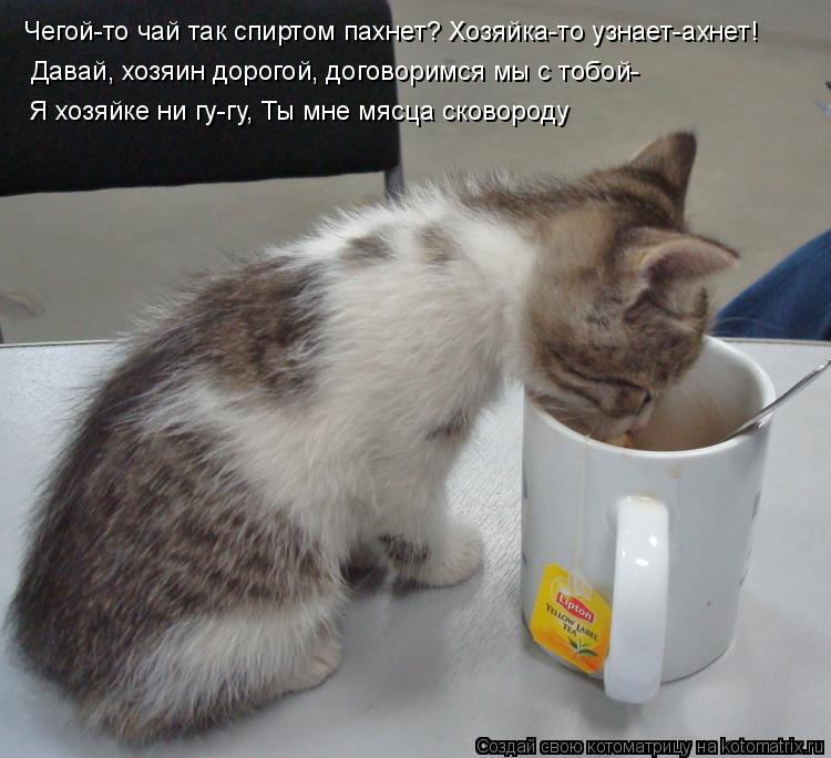 Чегой-то чай так спиртом пахнет? Хозяйка-то узнает-ахнет! Давай, хозяин дорогой, договоримся мы с тоб... Котоматрица: Чегой-то чай так спиртом пахнет? Хозяйка-то узнает-ахнет! Давай, хозяин дорогой, договоримся мы с тобой- Я хозяйке ни гу-гу, Ты мне мясца сково
