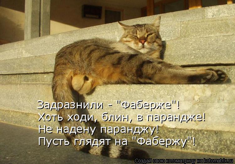 Задразнили - "Фаберже"! Хоть ходи, блин, в парандже! Не надену паранджу! Пусть глядят на "Фабержу"!... Котоматрица: Задразнили - "Фаберже"! Хоть ходи, блин, в парандже! Не надену паранджу! Пусть глядят на "Фабержу"!