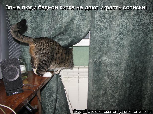 Котоматрица: Злые люди бедной киске не дают украсть сосиски!
