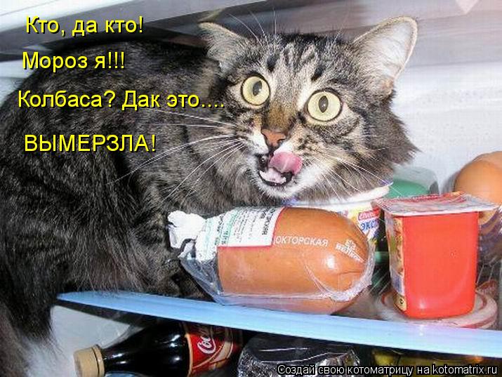 Котоматрица: Кто, да кто! Мороз я!!! Колбаса? Дак это.... ВЫМЕРЗЛА!
