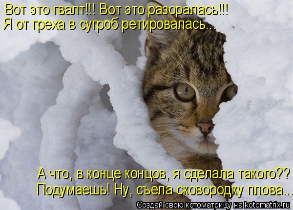 Котоматрица: Вот это гвалт!!! Вот это разоралась!!! Я от греха в сугроб ретировалась... А что, в конце концов, я сделала такого?? Подумаешь! Ну, съела сковород