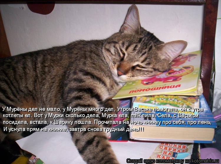 Котоматрица: У Мурёны дел не мало, у Мурёны много дел, Утром Ваське помогала, он с утра котлеты ел. Вот у Мурки сколько дела, Мурка ела, milk пила, Села, с Вась
