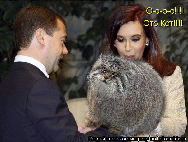 Котоматрица: О-о-о-о!!!! Это Кот!!!!
