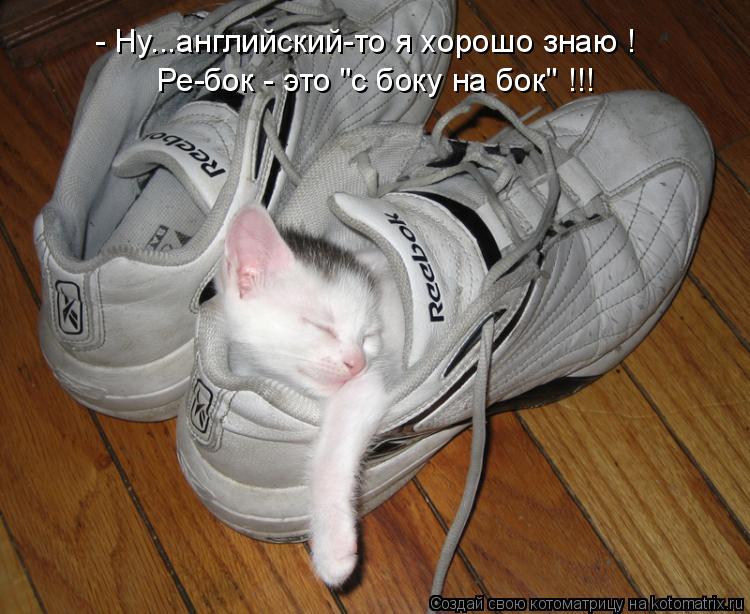 - Ну...английский-то я хорошо знаю ! Ре-бок - это "с боку на бок" !!!... Котоматрица: - Ну...английский-то я хорошо знаю ! Ре-бок - это "с боку на бок" !!!