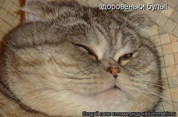 здоровеньки булы!... Котоматрица: здоровеньки булы!