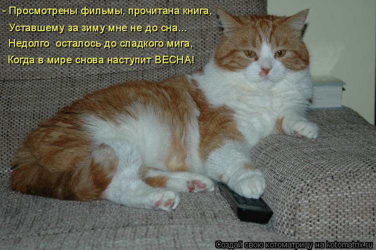 - Просмотрены фильмы, прочитана книга, Уставшему за зиму мне не до сна... Недолго осталось до сладко... Котоматрица: - Просмотрены фильмы, прочитана книга, Уставшему за зиму мне не до сна... Недолго осталось до сладкого мига, Когда в мире снова наступит ВЕСН