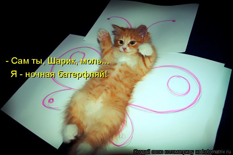 - Сам ты, Шарик, моль... Я - ночная батерфляй!... Котоматрица: - Сам ты, Шарик, моль... Я - ночная батерфляй!