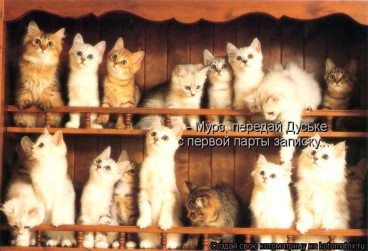 - Мурз, передай Дуське с первой парты записку...... Котоматрица: - Мурз, передай Дуське с первой парты записку...
