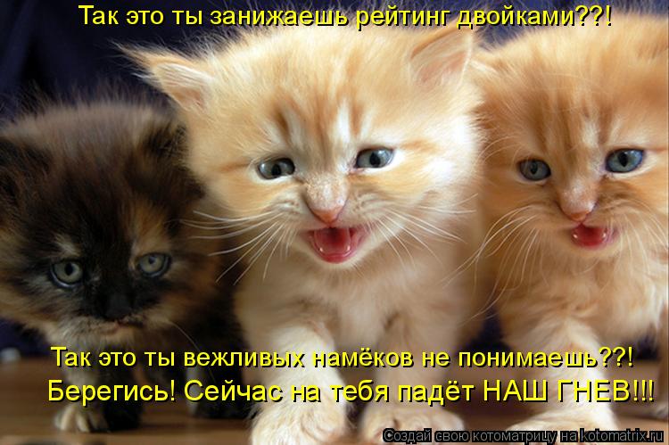 Так это ты занижаешь рейтинг двойками??! Так это ты вежливых намёков не понимаешь??! Берегись! Сейчас... Котоматрица: Так это ты занижаешь рейтинг двойками??! Так это ты вежливых намёков не понимаешь??! Берегись! Сейчас на тебя падёт НАШ ГНЕВ!!!