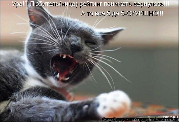 - Ура!!! Любитель(ница) рейтинг понижать вернулось!!! А то всё 5 да 5-СКУКШНО!!!... Котоматрица: - Ура!!! Любитель(ница) рейтинг понижать вернулось!!! А то всё 5 да 5-СКУКШНО!!!