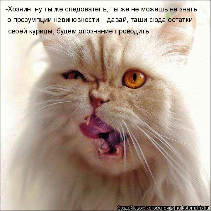 -Хозяин, ну ты же следователь, ты же не можешь не знать о презумпции невиновности....давай, тащи сюда... Котоматрица: -Хозяин, ну ты же следователь, ты же не можешь не знать о презумпции невиновности....давай, тащи сюда остатки своей курицы, будем опознание пр