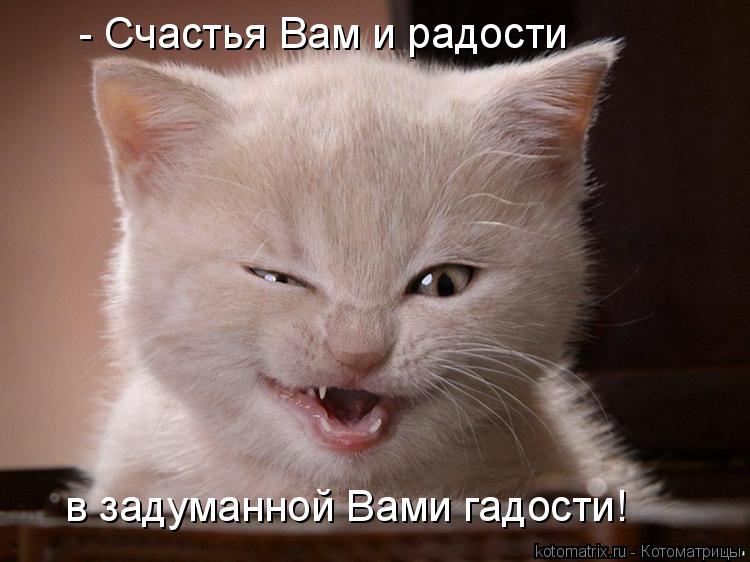 - Счастья Вам и радости в задуманной Вами гадости!... Котоматрица: - Счастья Вам и радости в задуманной Вами гадости!
