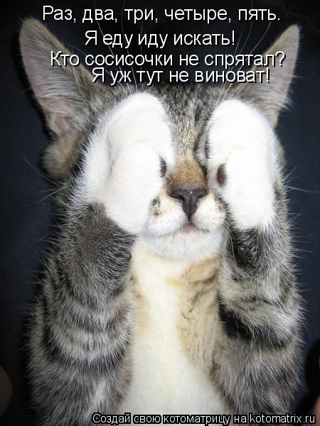 Раз, два, три, четыре, пять. Я еду иду искать! Кто сосисочки не спрятал? Я уж тут не виноват!... Котоматрица: Раз, два, три, четыре, пять. Я еду иду искать! Кто сосисочки не спрятал? Я уж тут не виноват!