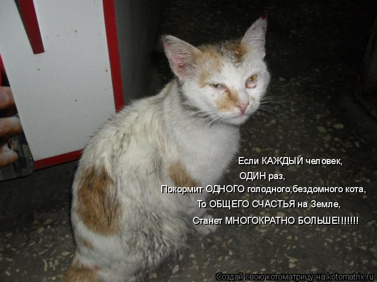 Если КАЖДЫЙ человек, ОДИН раз, Покормит ОДНОГО голодного,бездомного кота, То ОБЩЕГО СЧАСТЬЯ на Земле,... Котоматрица: Если КАЖДЫЙ человек, ОДИН раз, Покормит ОДНОГО голодного,бездомного кота, То ОБЩЕГО СЧАСТЬЯ на Земле, Станет МНОГОКРАТНО БОЛЬШЕ!!!!!!!
