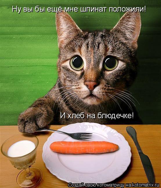 Ну вы бы ещё мне шпинат положили! И хлеб на блюдечке!... Котоматрица: Ну вы бы ещё мне шпинат положили! И хлеб на блюдечке!