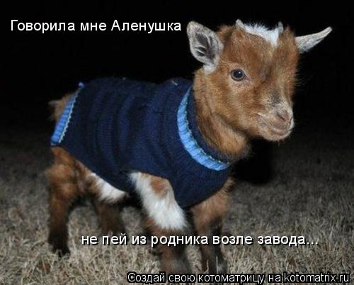 не пей из родника возле завода... Говорила мне Аленушка... Котоматрица: не пей из родника возле завода... Говорила мне Аленушка
