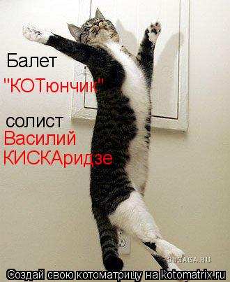 Балет "КОТюнчик" солист Василий КИСКАридзе... Котоматрица: Балет "КОТюнчик" солист Василий КИСКАридзе