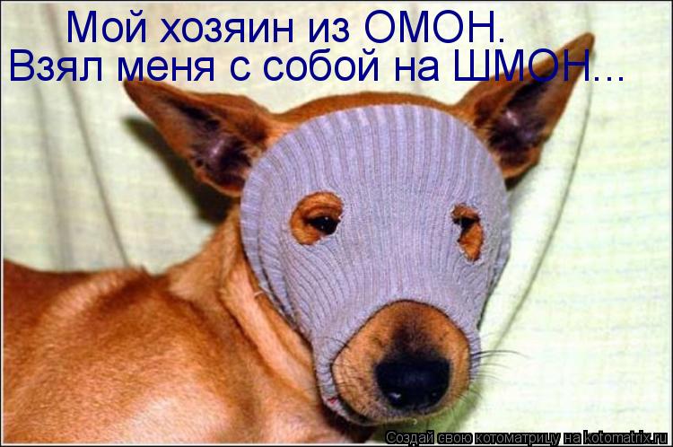 Взял меня с собой на ШМОН... Мой хозяин из ОМОН.... Котоматрица: Взял меня с собой на ШМОН... Мой хозяин из ОМОН.