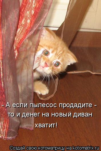 Котоматрица: - А если пылесос продадите -  то и денег на новый диван  хватит!