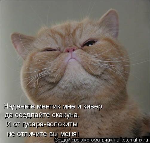 да оседлайте скакуна. Наденьте ментик мне и кивер И от гусара-волокиты не отличите вы меня!... Котоматрица: да оседлайте скакуна. Наденьте ментик мне и кивер И от гусара-волокиты не отличите вы меня!