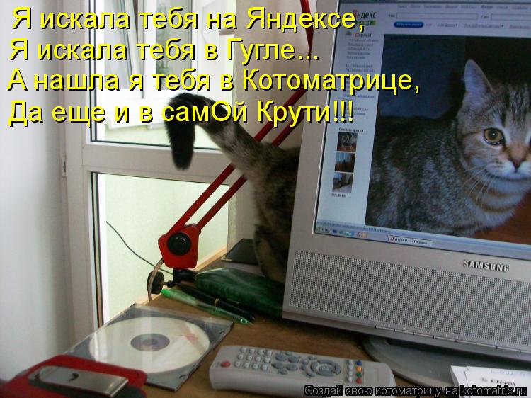 Я искала тебя на Яндексе, Я искала тебя в Гугле... А нашла я тебя в Котоматрице, Да еще и в самОй Кру... Котоматрица: Я искала тебя на Яндексе, Я искала тебя в Гугле... А нашла я тебя в Котоматрице, Да еще и в самОй Крути!!!