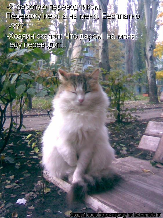 -Я работую переводчиком. -??? Перевожу не я, а на меня. Бесплатно. -Хозяин сказал: Что даром, на меня... Котоматрица: -Я работую переводчиком. -??? Перевожу не я, а на меня. Бесплатно. -Хозяин сказал: Что даром, на меня еду переводит...
