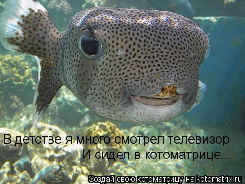 В детстве я много смотрел телевизор И сидел в котоматрице...... Котоматрица: В детстве я много смотрел телевизор И сидел в котоматрице...