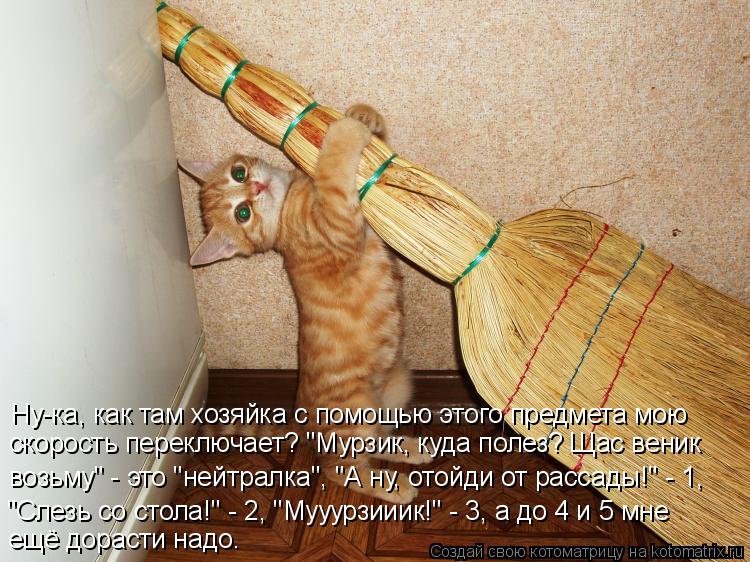 Ну-ка, как там хозяйка с помощью этого предмета мою скорость переключает? "Мурзик, куда полез? Щас в... Котоматрица: Ну-ка, как там хозяйка с помощью этого предмета мою скорость переключает? "Мурзик, куда полез? Щас веник возьму" - это "нейтралка", "А ну, отойд