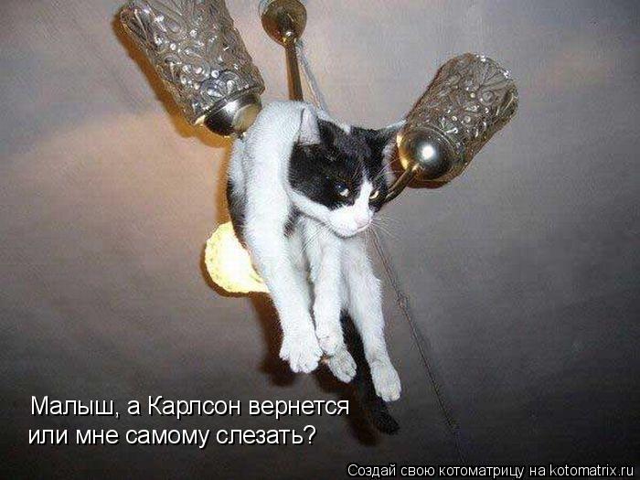 Малыш, а Карлсон вернется или мне самому слезать?... Котоматрица: Малыш, а Карлсон вернется или мне самому слезать?
