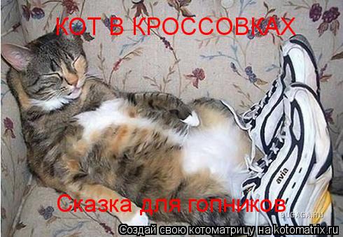 КОТ В КРОССОВКАХ Сказка для гопников... Котоматрица: КОТ В КРОССОВКАХ Сказка для гопников