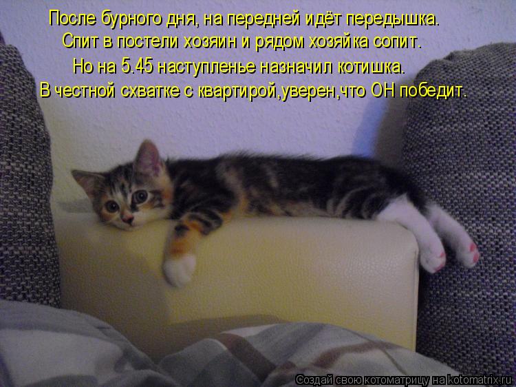 Спит в постели хозяин и рядом хозяйка сопит. После бурного дня, на передней идёт передышка. В честной... Котоматрица: Спит в постели хозяин и рядом хозяйка сопит. После бурного дня, на передней идёт передышка. В честной схватке с квартирой,уверен,что ОН побе